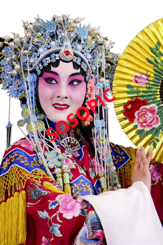 Traditional Chinese opera element icons pattern collection (28)