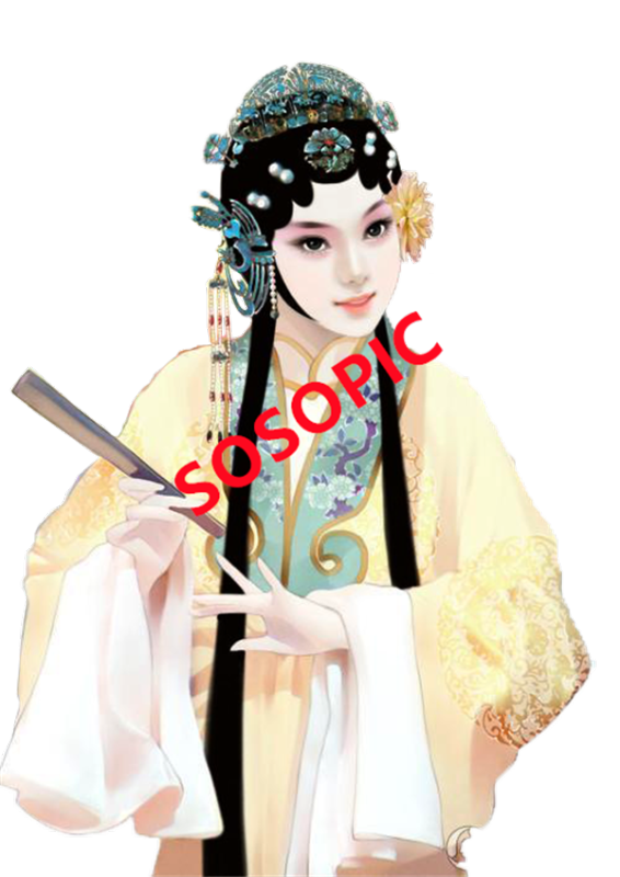 Peking Opera: Vintage Elegance Pattern Set