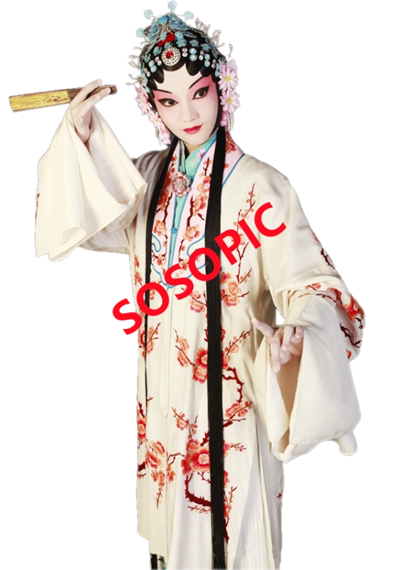 Traditional Chinese opera element icons pattern collection (20)