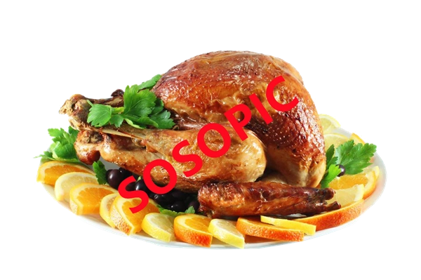 Background pattern with Thanksgiving elements such as turkey (36)