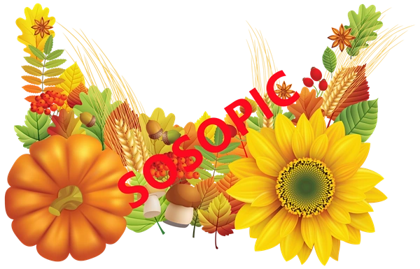 Background pattern with Thanksgiving elements such as turkey (41)