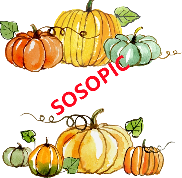 Background pattern with Thanksgiving elements such as turkey (33)