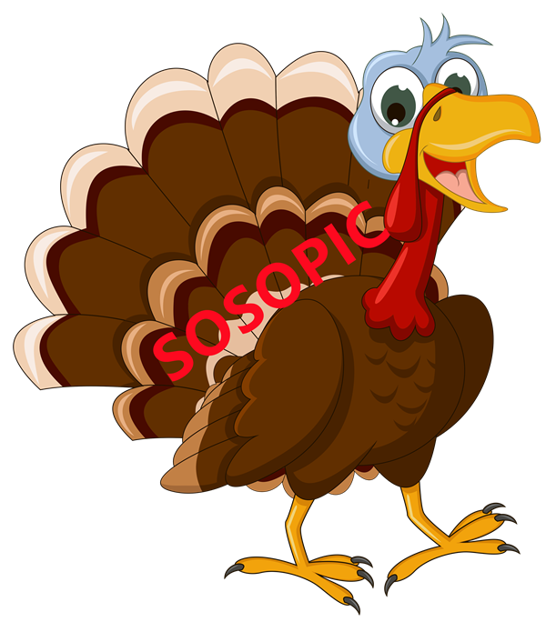 Western Ranch Thanksgiving Turkey Pattern PNG: Rustic Thanksgiving Flair