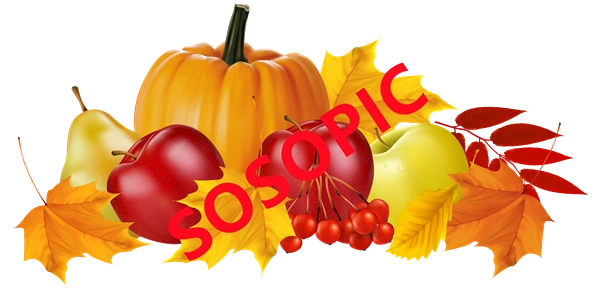 Background pattern with Thanksgiving elements such as turkey (2)