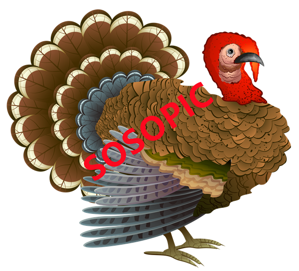 Steampunk Fairy Tale Thanksgiving Turkey Pattern PNG: Whimsical Steampunk Thanksgiving