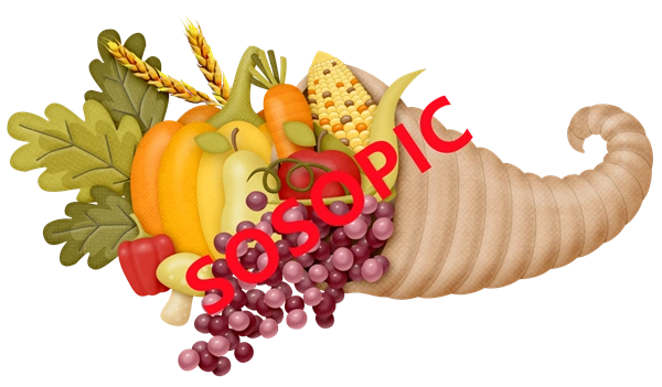Background pattern with Thanksgiving elements such as turkey (53)