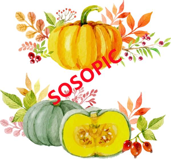 Background pattern with Thanksgiving elements such as turkey (13)
