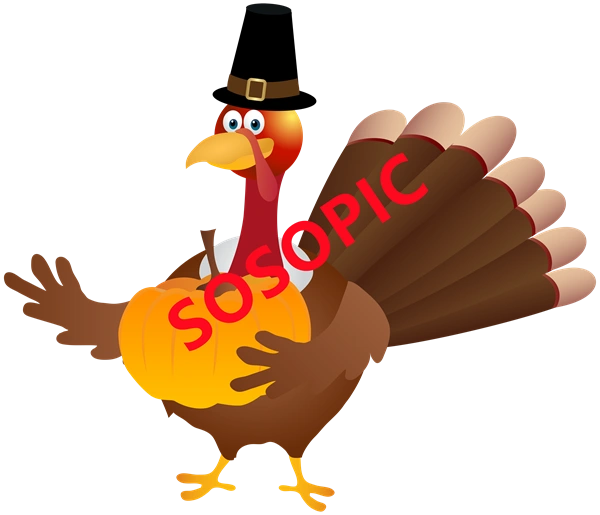 Background pattern with Thanksgiving elements such as turkey (49)