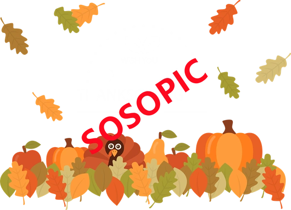 Background pattern with Thanksgiving elements such as turkey (65)