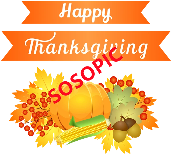 Background pattern with Thanksgiving elements such as turkey (46)