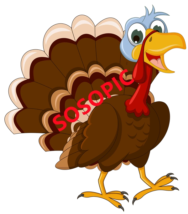 Background pattern with Thanksgiving elements such as turkey (30)