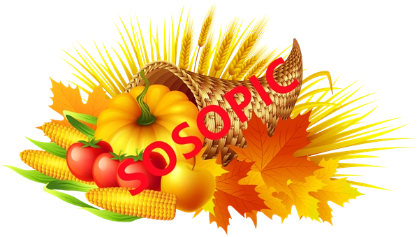 Background pattern with Thanksgiving elements such as turkey (56)