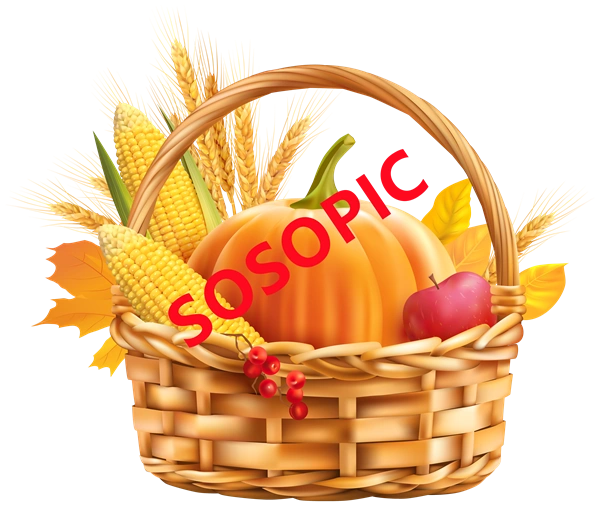 Background pattern with Thanksgiving elements such as turkey (6)