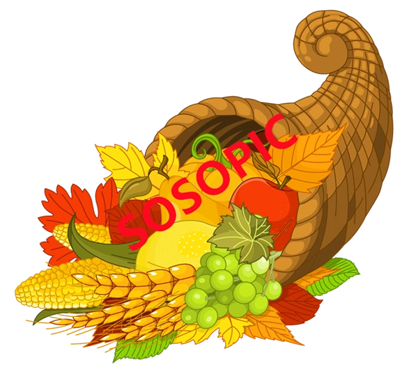 Background pattern with Thanksgiving elements such as turkey (22)