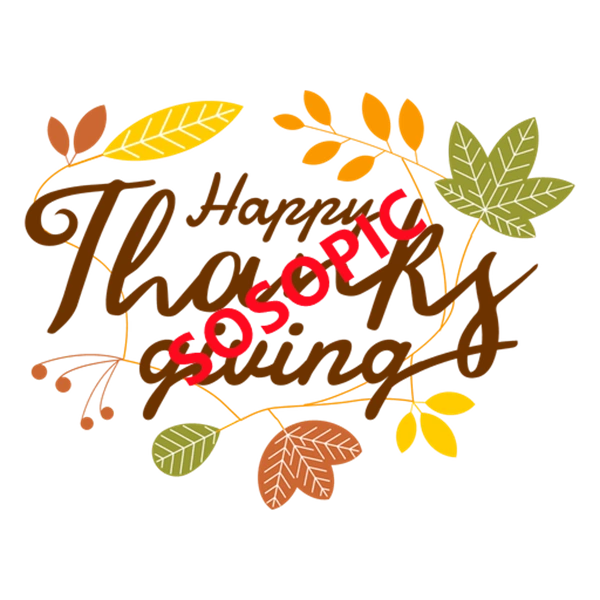 Background pattern with Thanksgiving elements such as turkey (39)