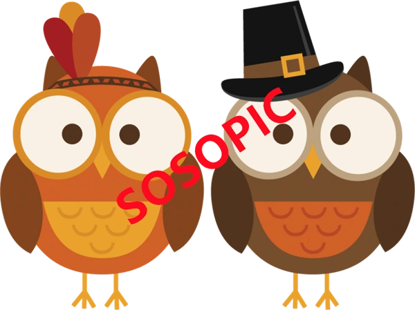 Background pattern with Thanksgiving elements such as turkey (68)