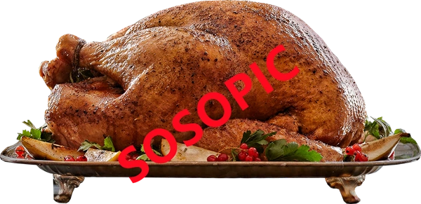 Background pattern with Thanksgiving elements such as turkey (97)