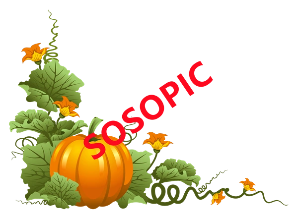 Background pattern with Thanksgiving elements such as turkey (99)