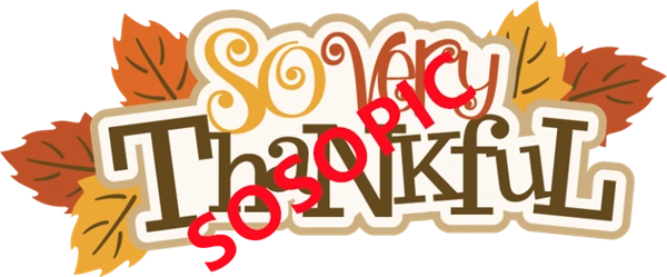 Background pattern with Thanksgiving elements such as turkey (85)
