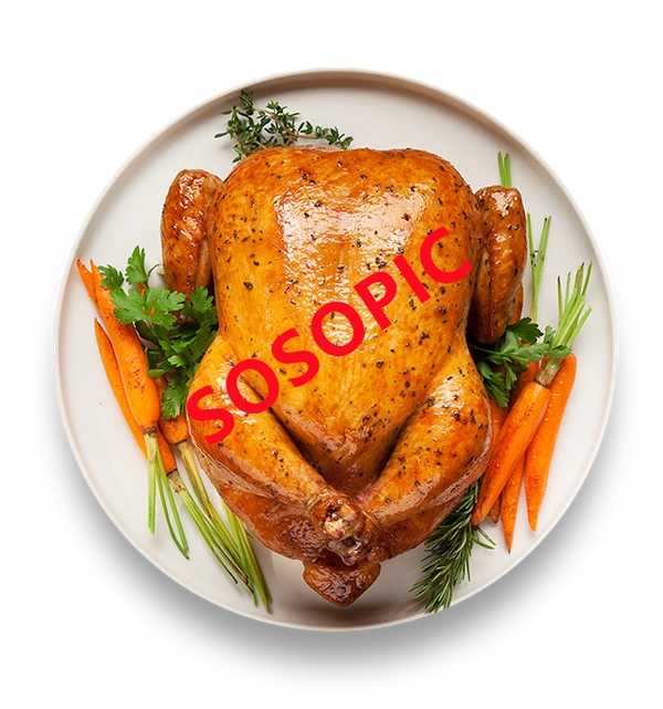 Background pattern with Thanksgiving elements such as turkey (73)
