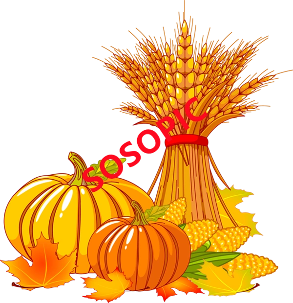 Background pattern with Thanksgiving elements such as turkey (11)