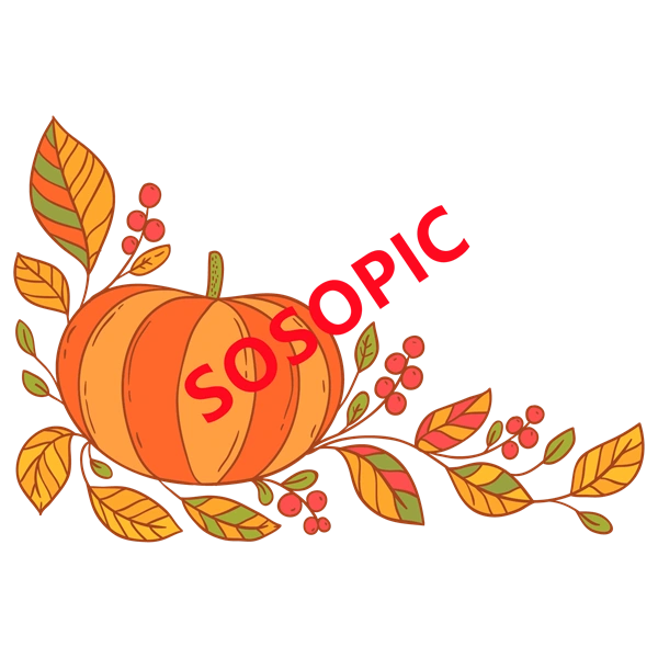 Background pattern with Thanksgiving elements such as turkey (87)