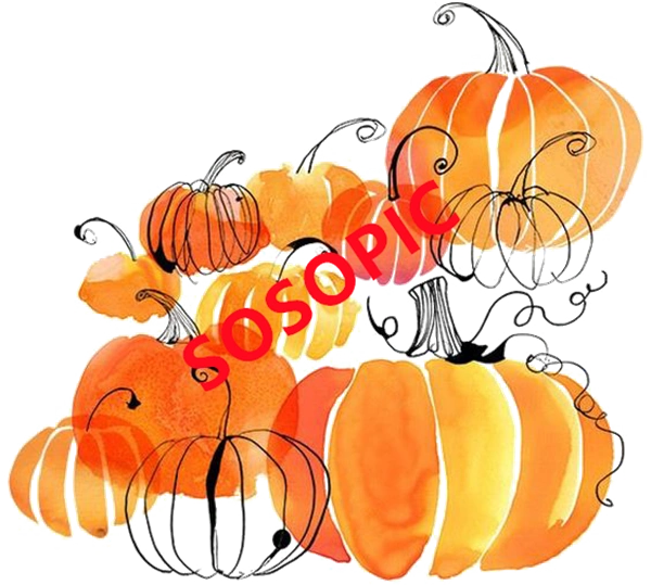 Background pattern with Thanksgiving elements such as turkey (16)