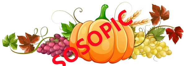 Background pattern with Thanksgiving elements such as turkey (42)