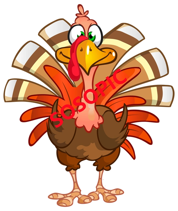 Background pattern with Thanksgiving elements such as turkey (50)