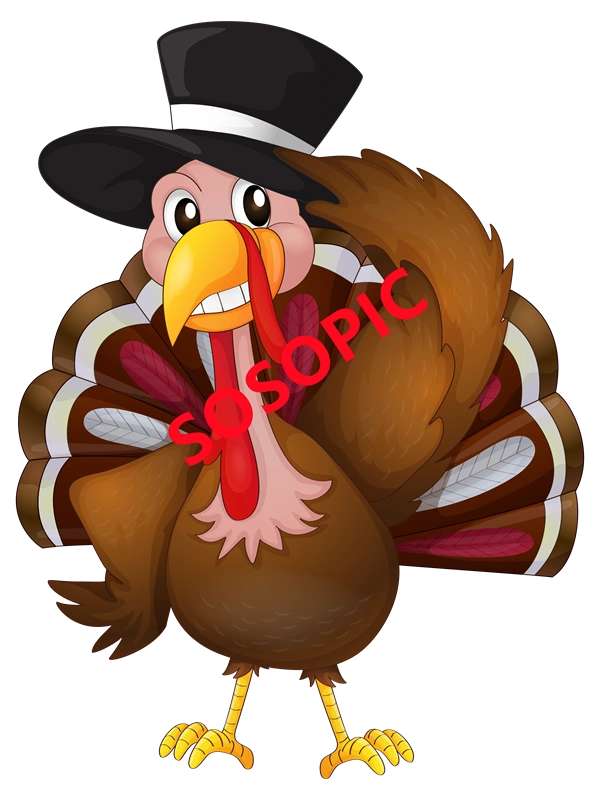 Background pattern with Thanksgiving elements such as turkey (48)