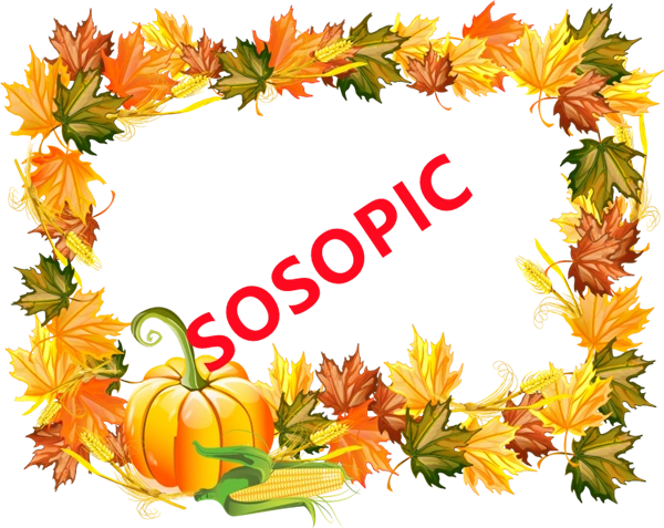 Background pattern with Thanksgiving elements such as turkey (38)