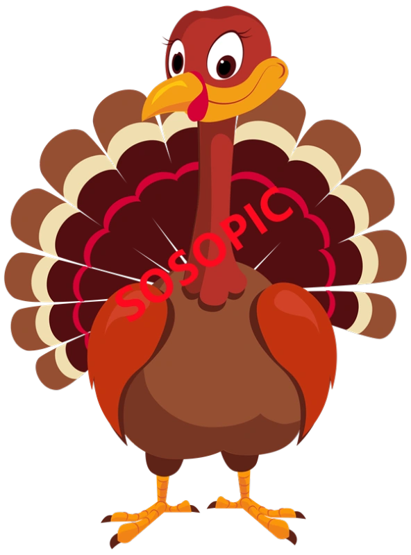 Background pattern with Thanksgiving elements such as turkey (4)