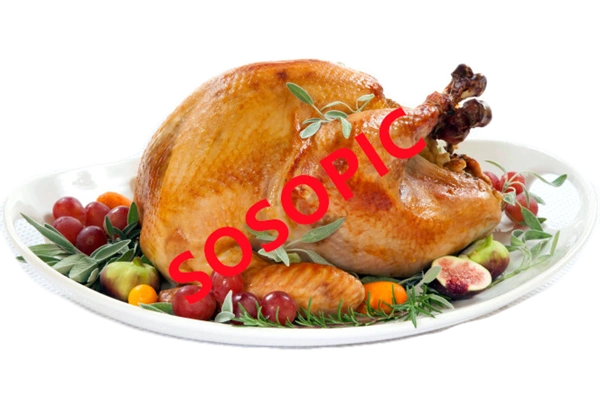 Background pattern with Thanksgiving elements such as turkey (79)