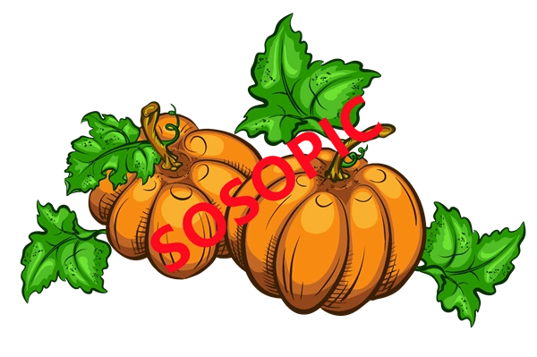 Background pattern with Thanksgiving elements such as turkey (44)