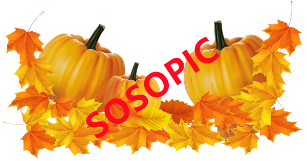 Background pattern with Thanksgiving elements such as turkey (7)
