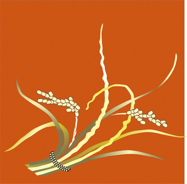 Japanese traditional style element decorative background wallpaper pattern (92)