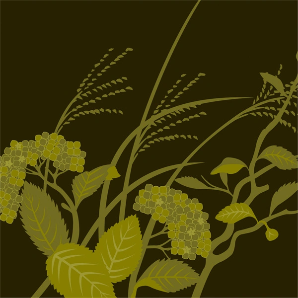 Japanese traditional style element decorative background wallpaper pattern (19)
