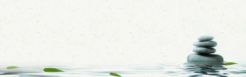 Traditional Chinese style ink and wash landscape pattern template (145)