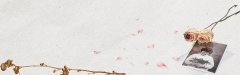 Harmonious Reflections Chinese Ink - Wash Landscape Pattern Template for Branding