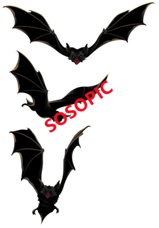 Halloween bat themed decorative element icons pattern template (74)