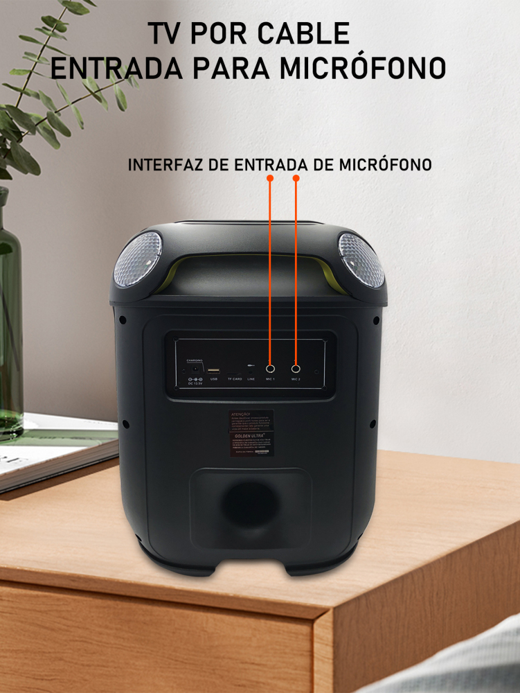 Bocina Inalámbrica Bluethoot | 8 Pulgadas | Luces RGB | Conexiones USB, Micro SD, 3.5 mm | Batería Amplia Duración | Conexión TWS | Mircrofono karaoke