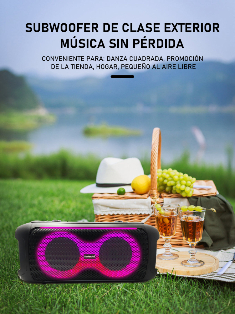 CAJA DE SONIDO MULTIFUNCIONAL-GT-6813