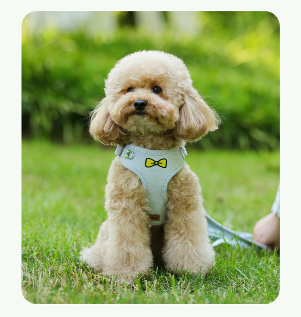 New Lightweight Super Breathable Reflective Dog Leash Quick-Drying Summer Strap Vest Button Closure Quick Release Fashion Style,U-ME PET LUV,Vest-Style Reflective Dog Harness & Breathable Lightweight Leash Set for Small Breeds – Outdoor Walking Safety Gear