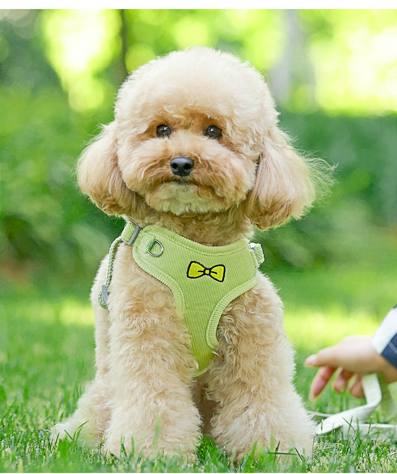 New Lightweight Super Breathable Reflective Dog Leash Quick-Drying Summer Strap Vest Button Closure Quick Release Fashion Style,U-ME PET LUV,Vest-Style Reflective Dog Harness & Breathable Lightweight Leash Set for Small Breeds – Outdoor Walking Safety Gear