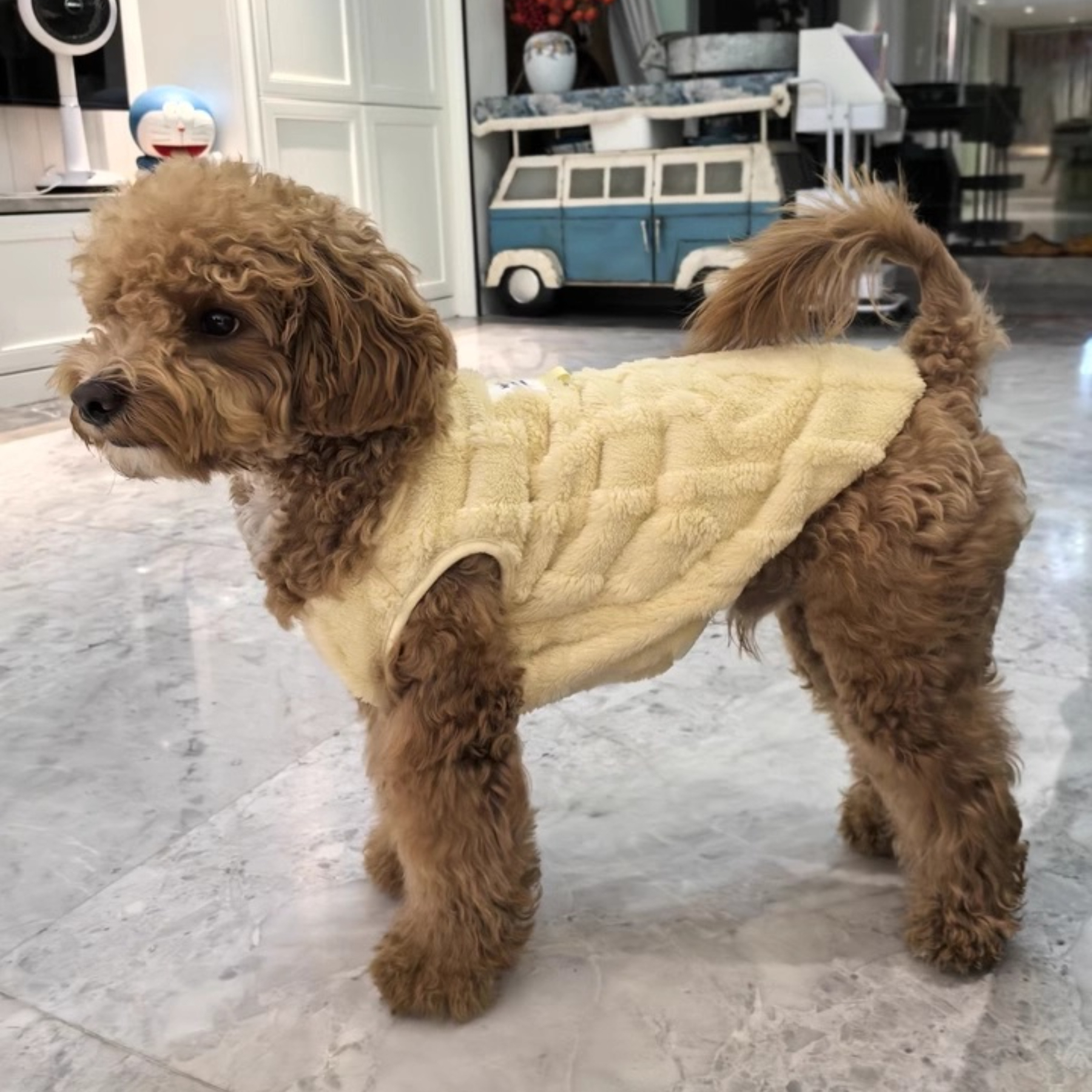 Small Dog Teddy Poodle Apparel Classic Winter Clothes with Fleece Lining Lightweight Washable Foldable Made of Polyester,U-ME PET LUV,Cozy Fleece Winter Outfits for Small Dogs and Cats (Fits Poodles, Bichons, Pomeranians)