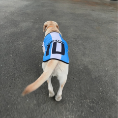 All-Season Lightweight Pet Vest for Small/Medium/Large Breeds Adjustable Dog & Cat Apparel Decorative Mesh for Summer Spring,U-ME PET LUV,Premium Seasonal Petwear: Dog & Cat Apparel, Sports Jerseys, Cooling Vests