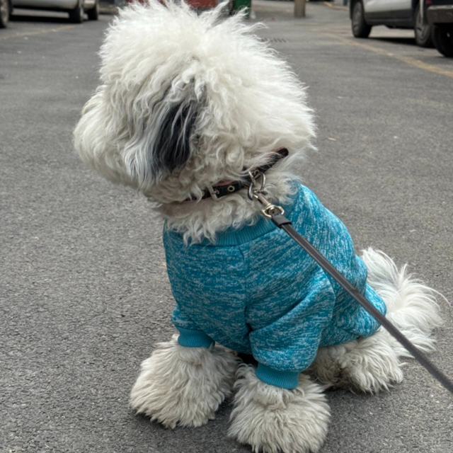 Personalized Classic Dot Pattern Pet Vest for Small and Medium Dogs Cats Breathable Polyester with Wool Feel for Fall/Winter,U-ME PET LUV,Autumn-Winter Pet Sweaters | Premium Small to Medium Dog & Cat Apparel
