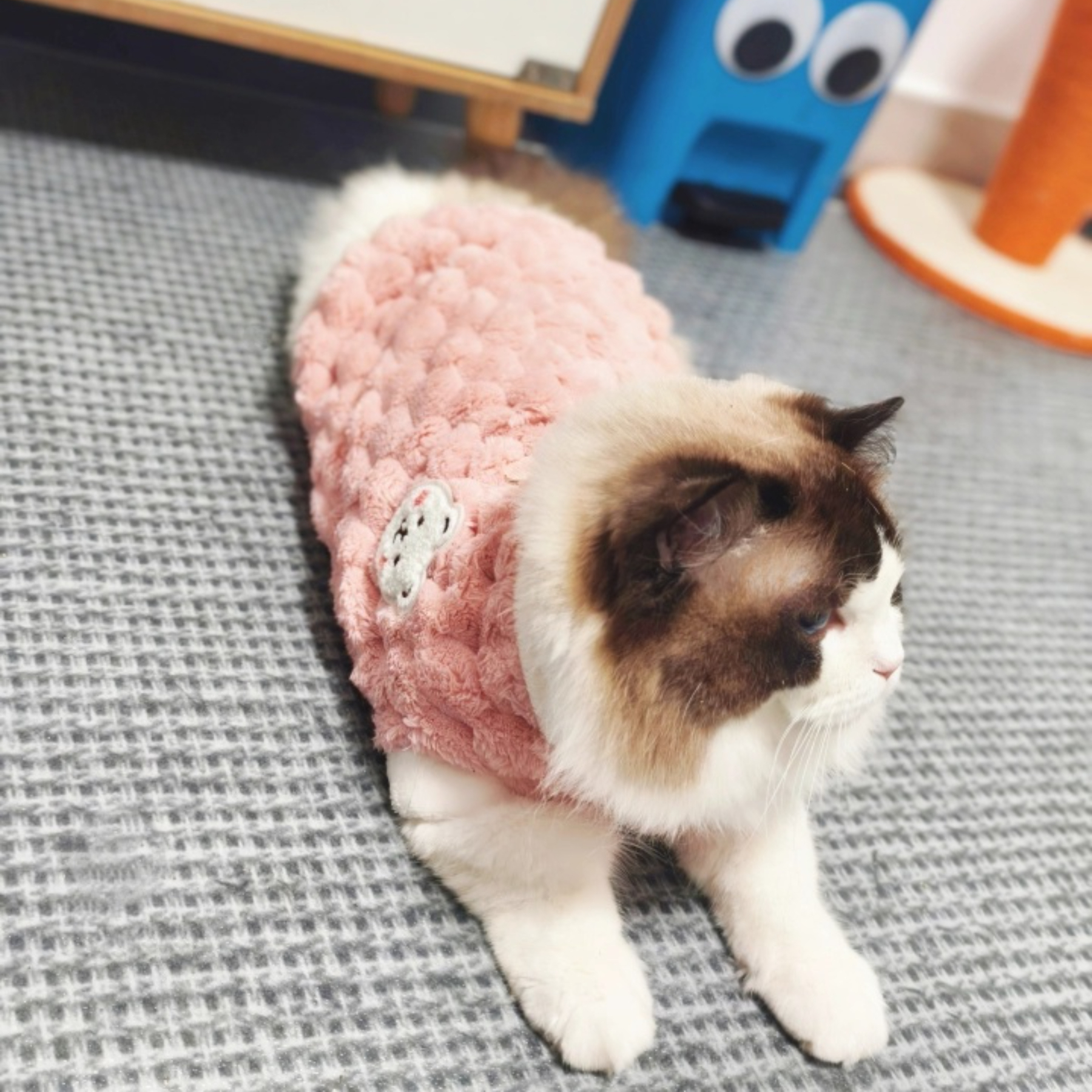 Small Dog Teddy Poodle Apparel Classic Winter Clothes with Fleece Lining Lightweight Washable Foldable Made of Polyester,U-ME PET LUV,Cozy Fleece Winter Outfits for Small Dogs and Cats (Fits Poodles, Bichons, Pomeranians)