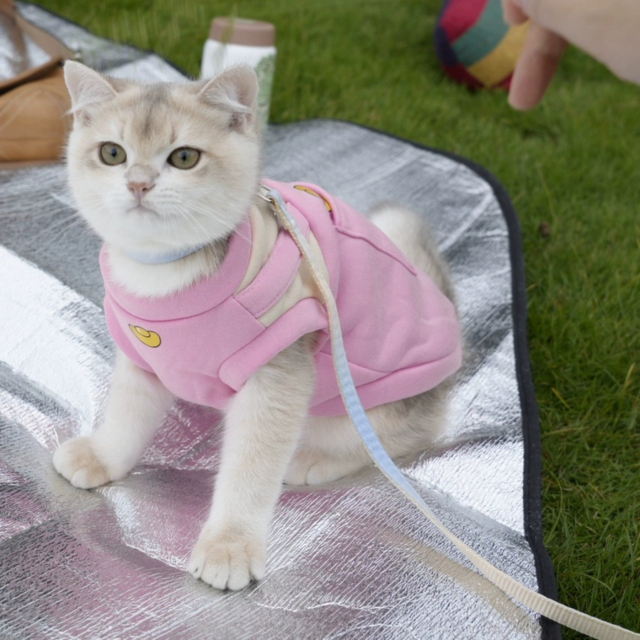 Autumn and Winter New Pet Vest for Cats and Dogs Classic Style Lightweight and Washable Double-Plush Windproof Polyester Vest,U-ME PET LUV,New Faux Two-Piece Fleece Hoodie Vest for Cats - Wind-Resistant Thermal Apparel