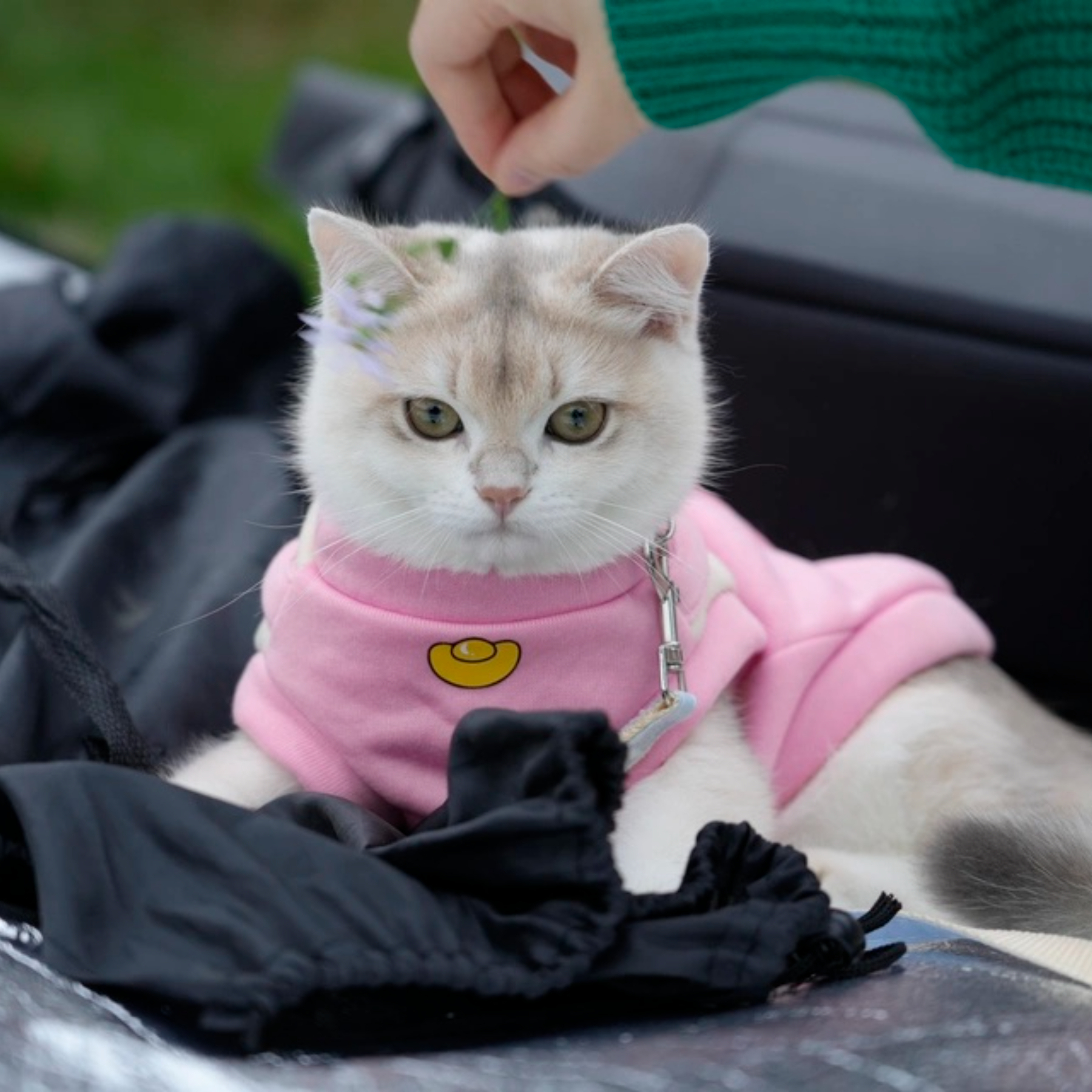 Autumn and Winter New Pet Vest for Cats and Dogs Classic Style Lightweight and Washable Double-Plush Windproof Polyester Vest,U-ME PET LUV,New Faux Two-Piece Fleece Hoodie Vest for Cats - Wind-Resistant Thermal Apparel